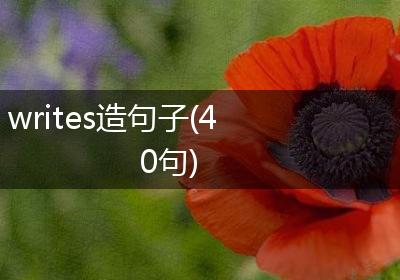 writes造句子(40句)