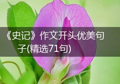《史记》作文开头优美句子(精选71句)