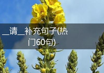 __请__补充句子(热门60句)