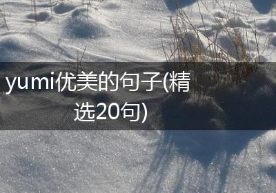 yumi优美的句子(精选20句)