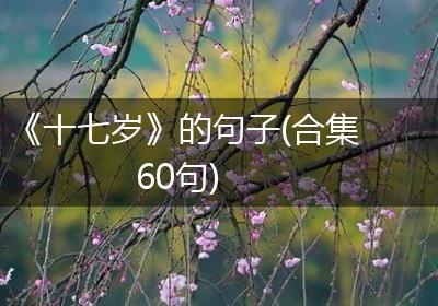 《十七岁》的句子(合集60句)