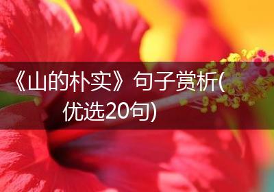《山的朴实》句子赏析(优选20句)
