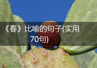 《春》比喻的句子(实用70句)