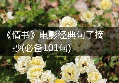 《情书》电影经典句子摘抄(必备101句)