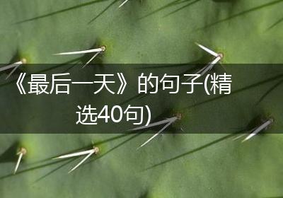 《最后一天》的句子(精选40句)