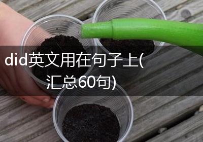 did英文用在句子上(汇总60句)