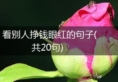 看别人挣钱眼红的句子(共20句)