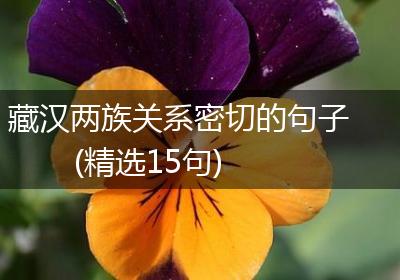藏汉两族关系密切的句子(精选15句)