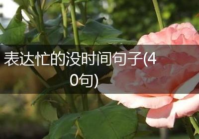 表达忙的没时间句子(40句)