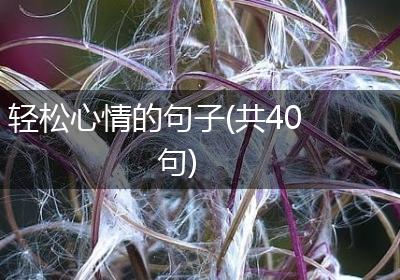 轻松心情的句子(共40句)