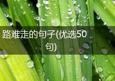 路难走的句子(优选50句)
