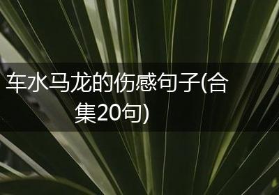 车水马龙的伤感句子(合集20句)