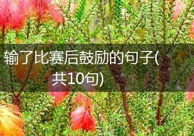 输了比赛后鼓励的句子(共10句)