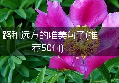 路和远方的唯美句子(推荐50句)