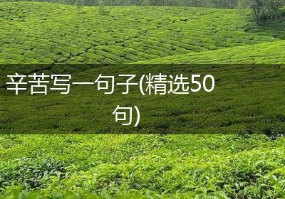 辛苦写一句子(精选50句)