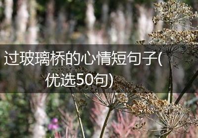 过玻璃桥的心情短句子(优选50句)