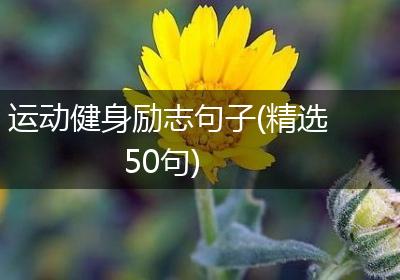 运动健身励志句子(精选50句)