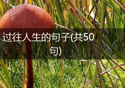 过往人生的句子(共50句)