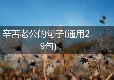 辛苦老公的句子(通用29句)