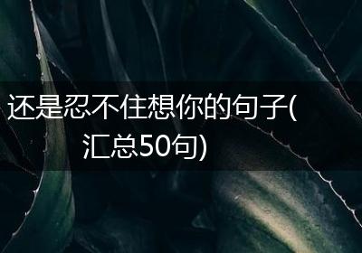 还是忍不住想你的句子(汇总50句)