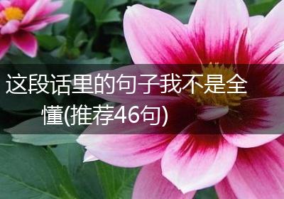 这段话里的句子我不是全懂(推荐46句)