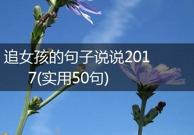 追女孩的句子说说2017(实用50句)