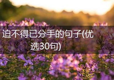 迫不得已分手的句子(优选30句)