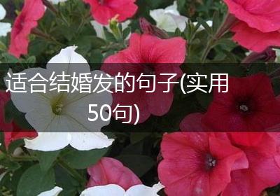 适合结婚发的句子(实用50句)