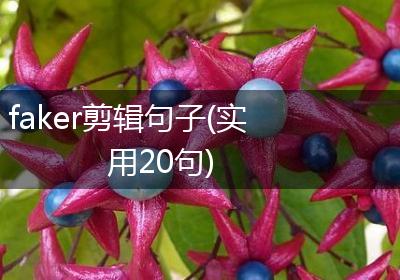 faker剪辑句子(实用20句)