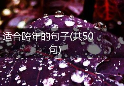 适合跨年的句子(共50句)