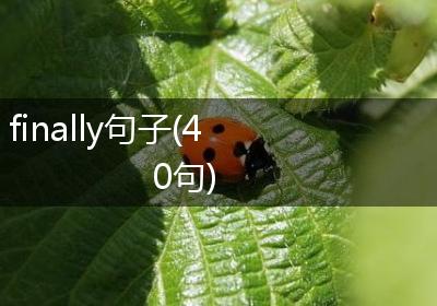 finally句子(40句)