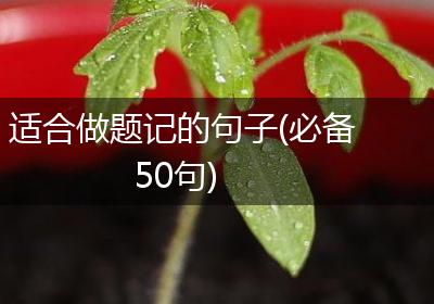 适合做题记的句子(必备50句)