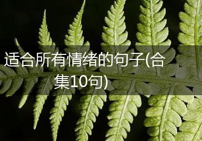 适合所有情绪的句子(合集10句)
