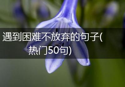 遇到困难不放弃的句子(热门50句)