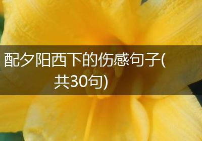 配夕阳西下的伤感句子(共30句)