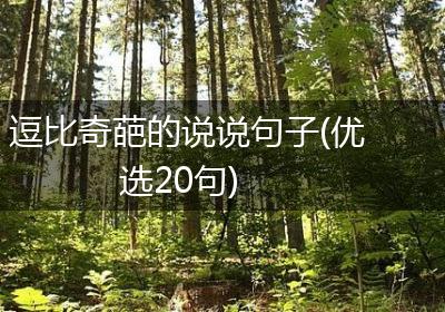 逗比奇葩的说说句子(优选20句)
