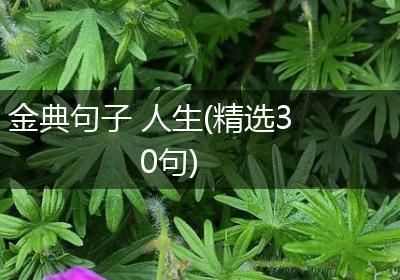 金典句子 人生(精选30句)