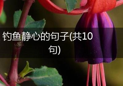 钓鱼静心的句子(共10句)