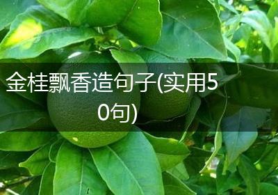 金桂飘香造句子(实用50句)
