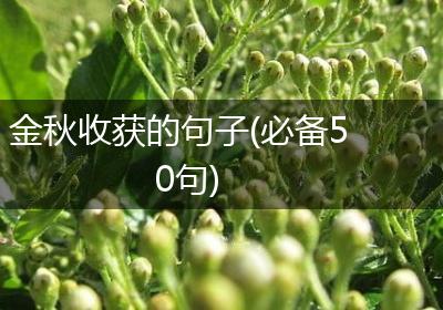 金秋收获的句子(必备50句)