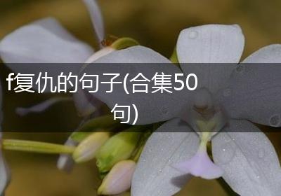f复仇的句子(合集50句)
