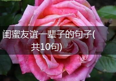闺蜜友谊一辈子的句子(共10句)