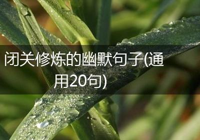 闭关修炼的幽默句子(通用20句)