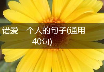 错爱一个人的句子(通用40句)