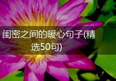 闺密之间的暖心句子(精选50句)