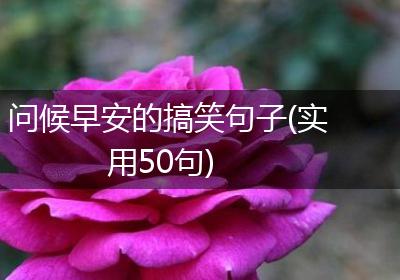 问候早安的搞笑句子(实用50句)