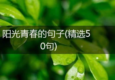 阳光青春的句子(精选50句)
