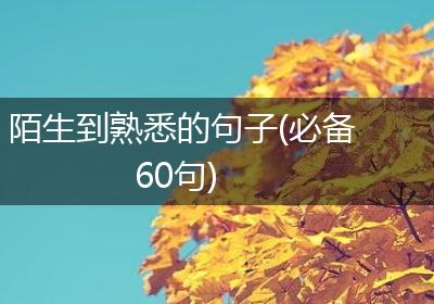 陌生到熟悉的句子(必备60句)
