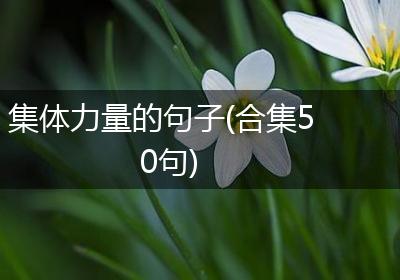 集体力量的句子(合集50句)
