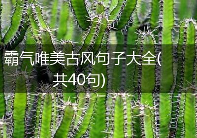 霸气唯美古风句子大全(共40句)